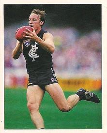 1994 Select AFL Stickers #43 Andrew McKay Front